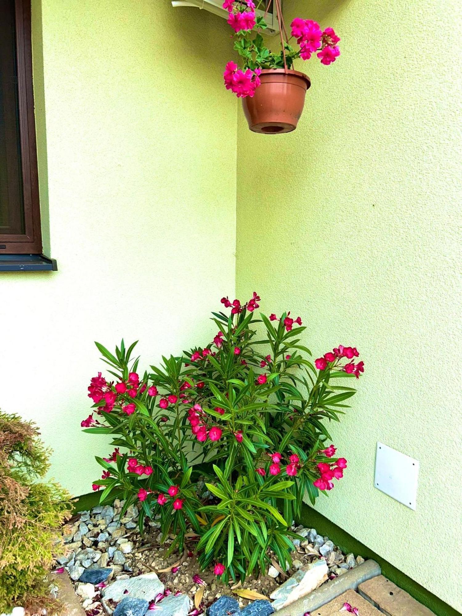 Apartmany Zeleny Dom Podhájska Exterior foto